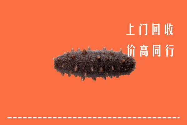 益阳高价回收海参