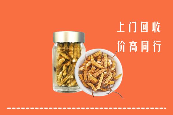 高价求购：益阳回收冬虫夏草