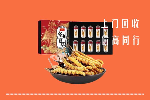 收购行情：益阳回收虫草
